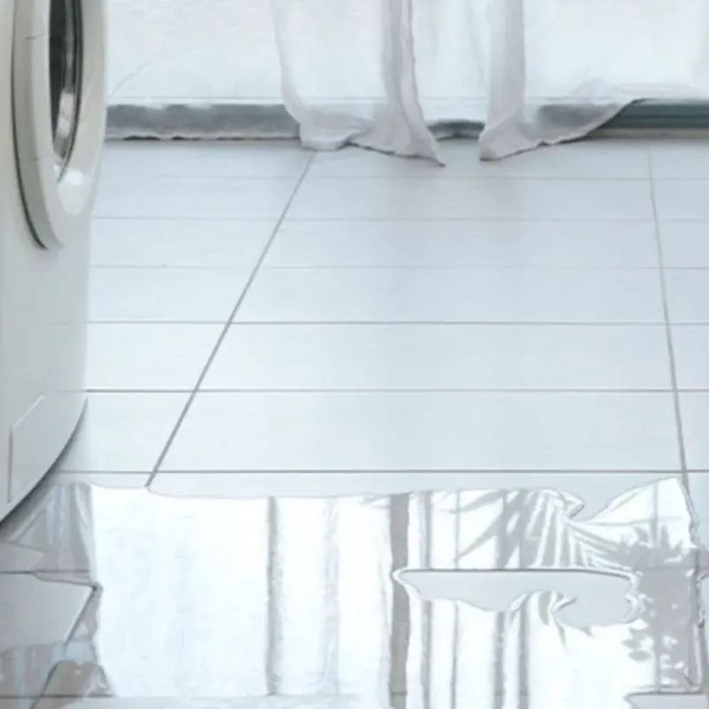 Appliance Leak Cleanup in Tomahawk, WI