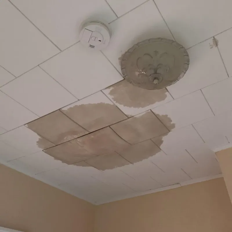 Ceiling Water Damage Repair in Tomahawk, WI