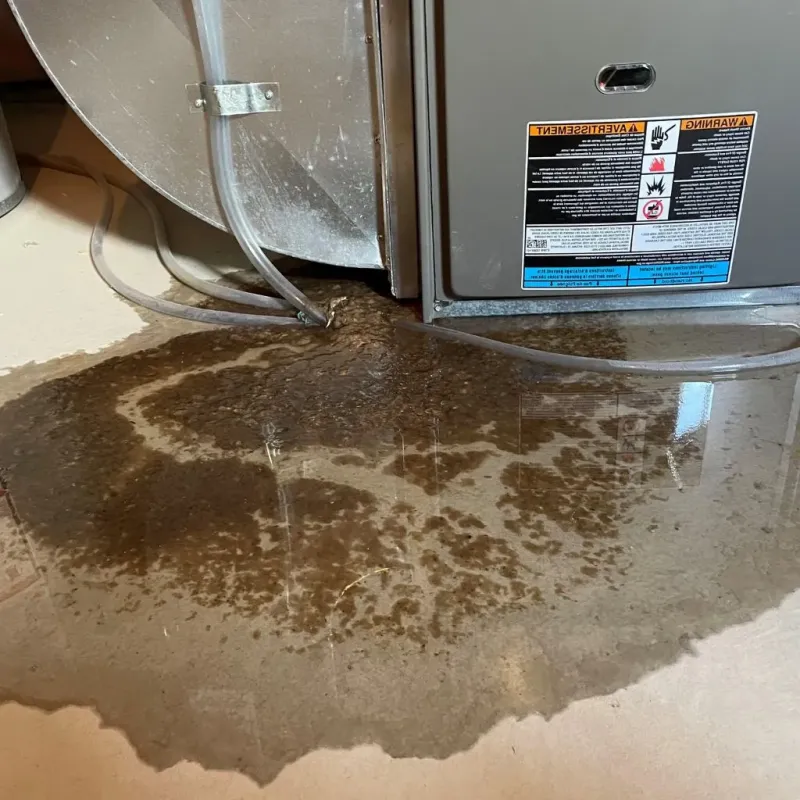 Pipe Burst and Leak Restoration in Tomahawk, WI