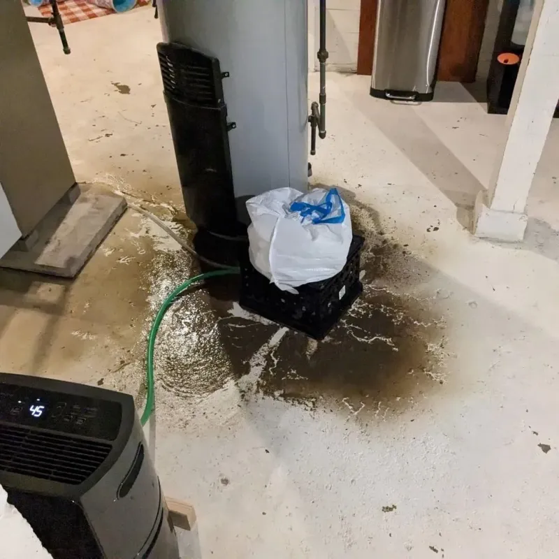 Sewage Backup Cleanup Service in Tomahawk, WI